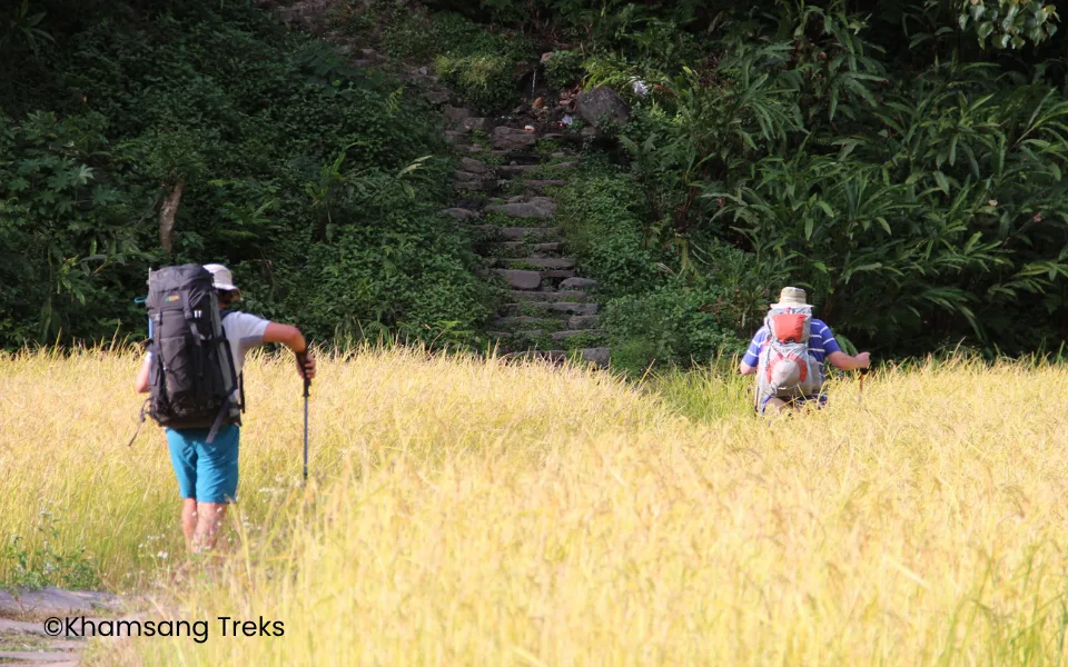 Helambu Trek