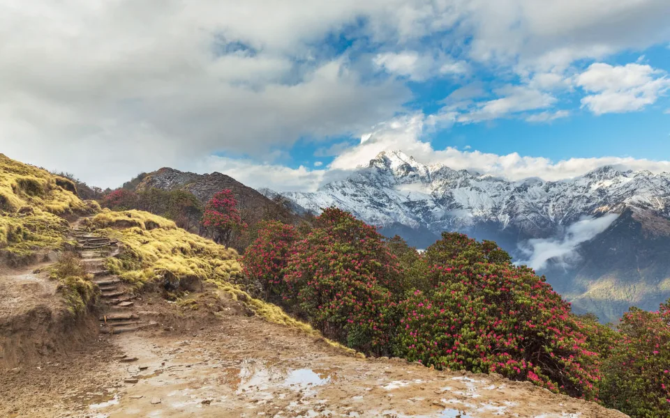 Mardi Himal Trek