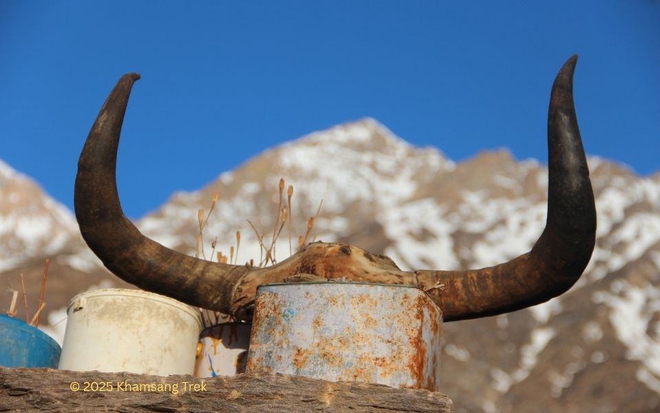 Upper Mustang Trek