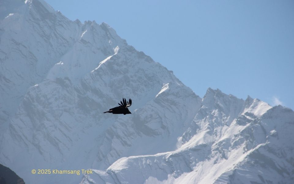 Explore sacred paths with our Optional Pilgrimage Tours