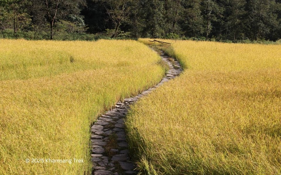 Yangma (Kanchanjunga)